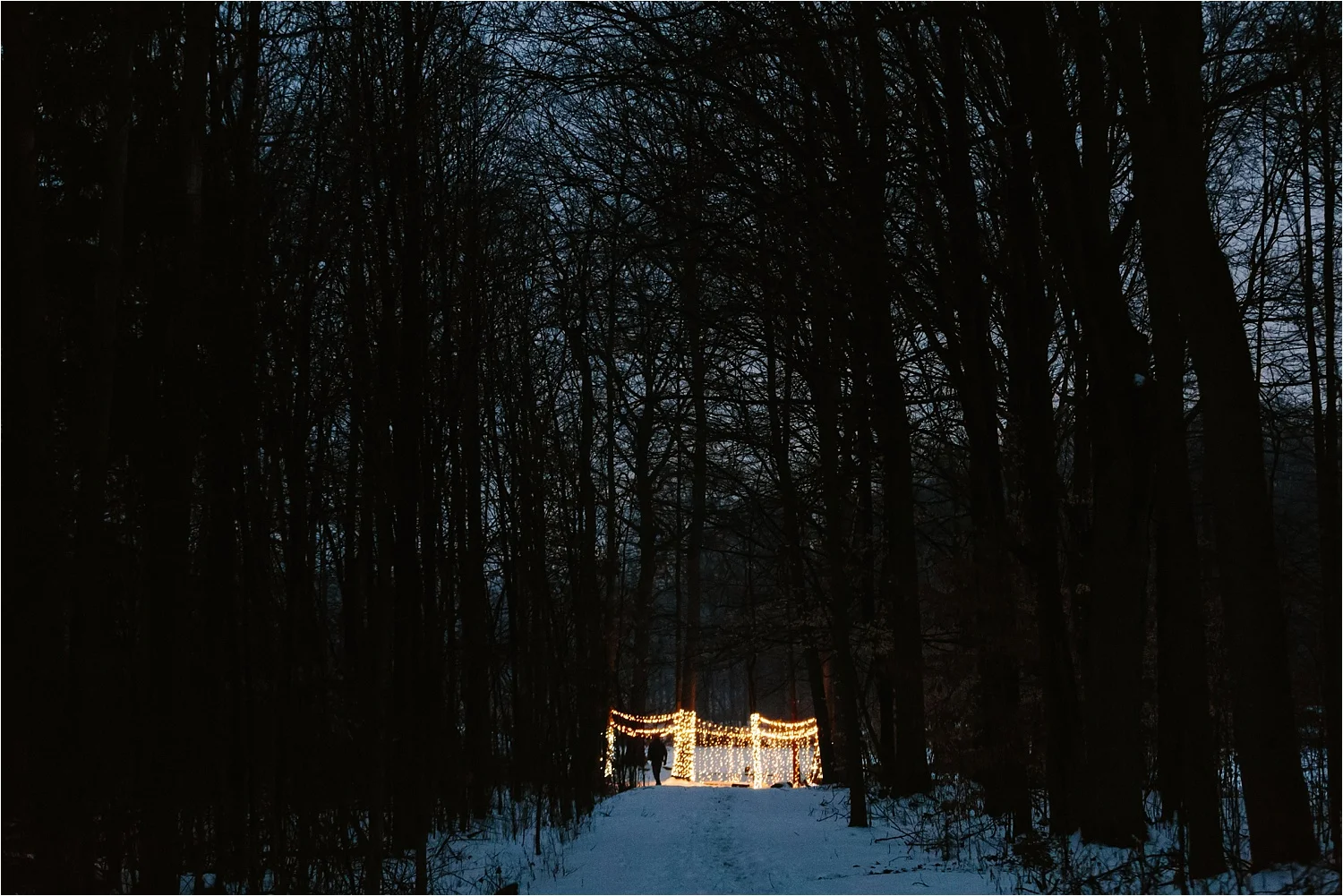 The night of the proposal (about a half hour before Caiti arrived). Isn't it cool how tucked away in the woods it was? Right behind the lights there's a huge lake too! 
