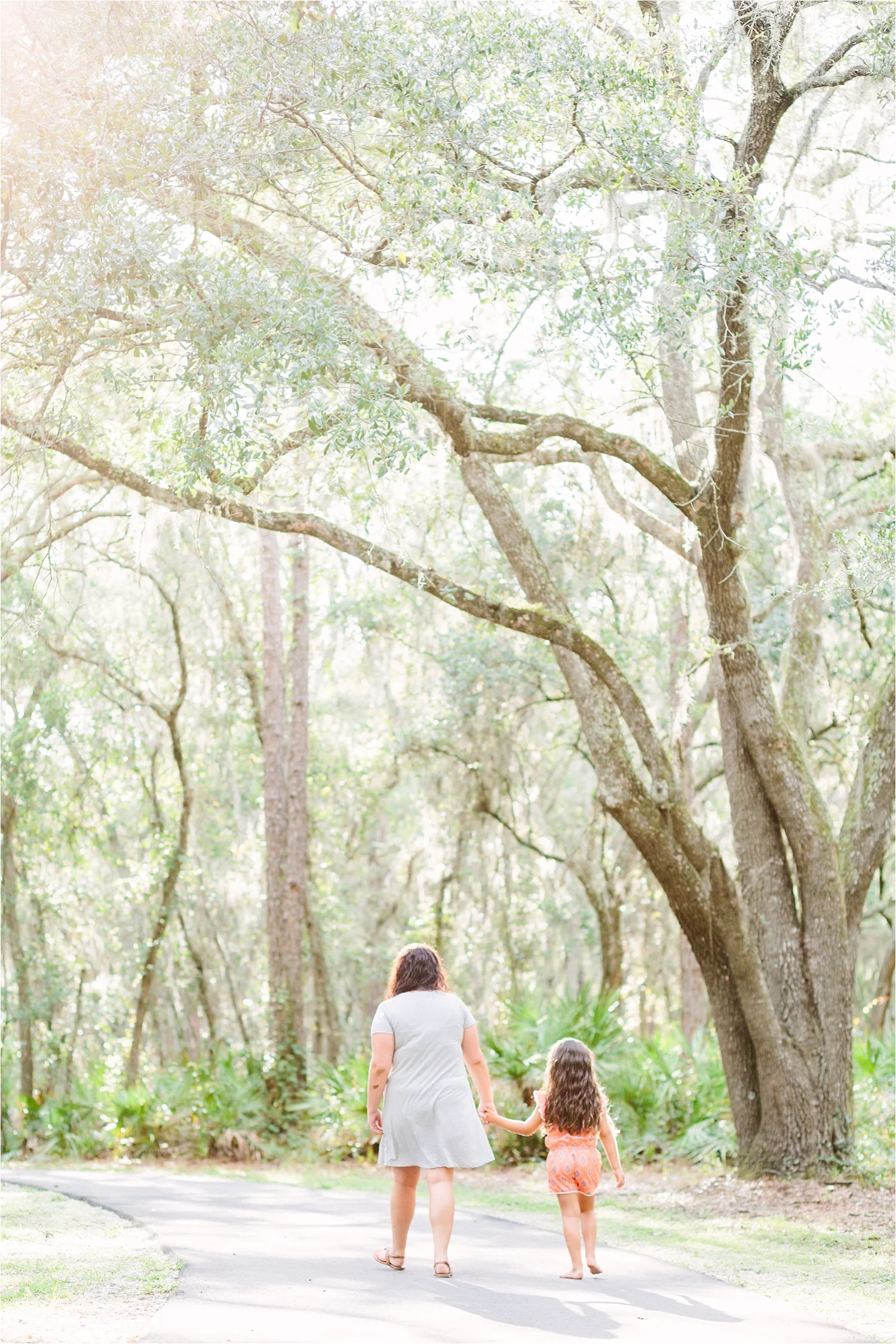  There will never be a day that I don't swoon over oak trees, moss, and sunshine. 