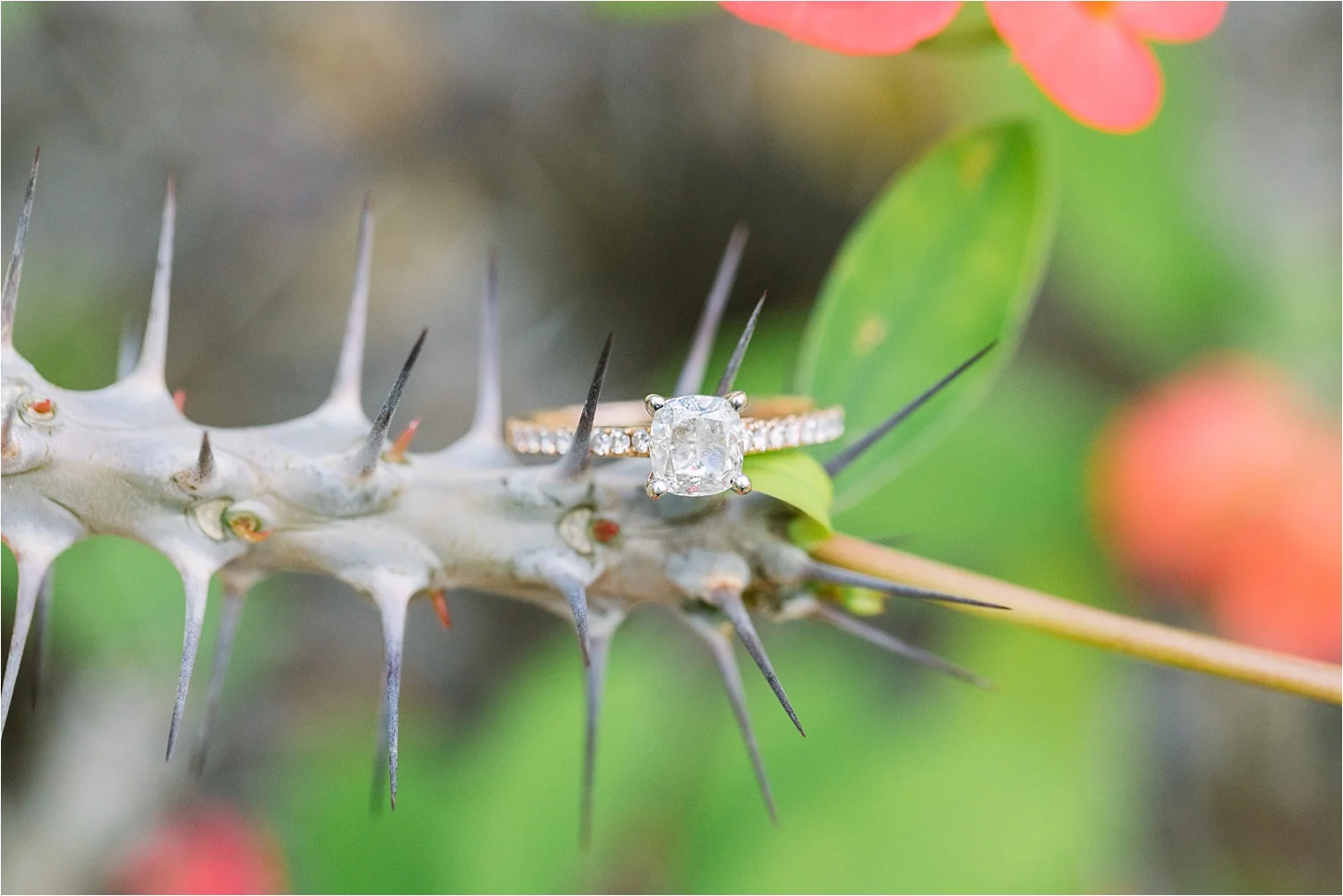  Isn’t this ring stunning?! Love these southwestern plants, too!!! 
